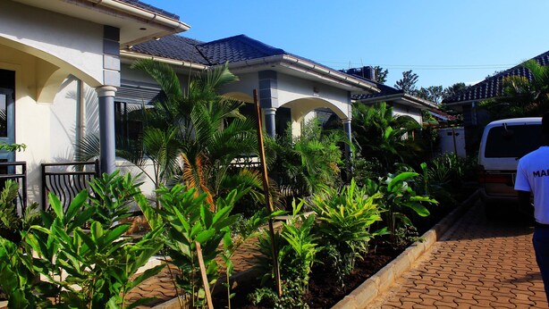 A residential area with a paved driveway, a white van, and various tropical plants. - Mamikki Hotel Apartment (Tororo)