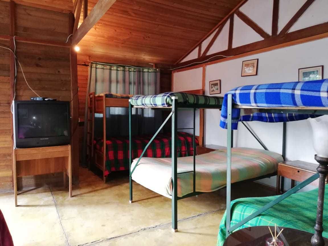 Cabin dành cho gia đình, phòng tắm riêng | Màn/rèm cản sáng, truy cập Internet không dây miễn phí, bộ trải giường 