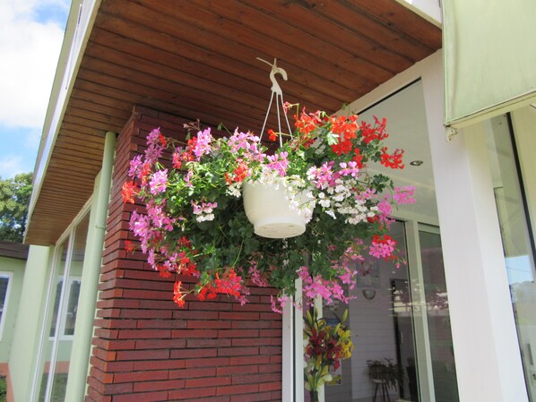 Khuôn viên nơi lưu trú