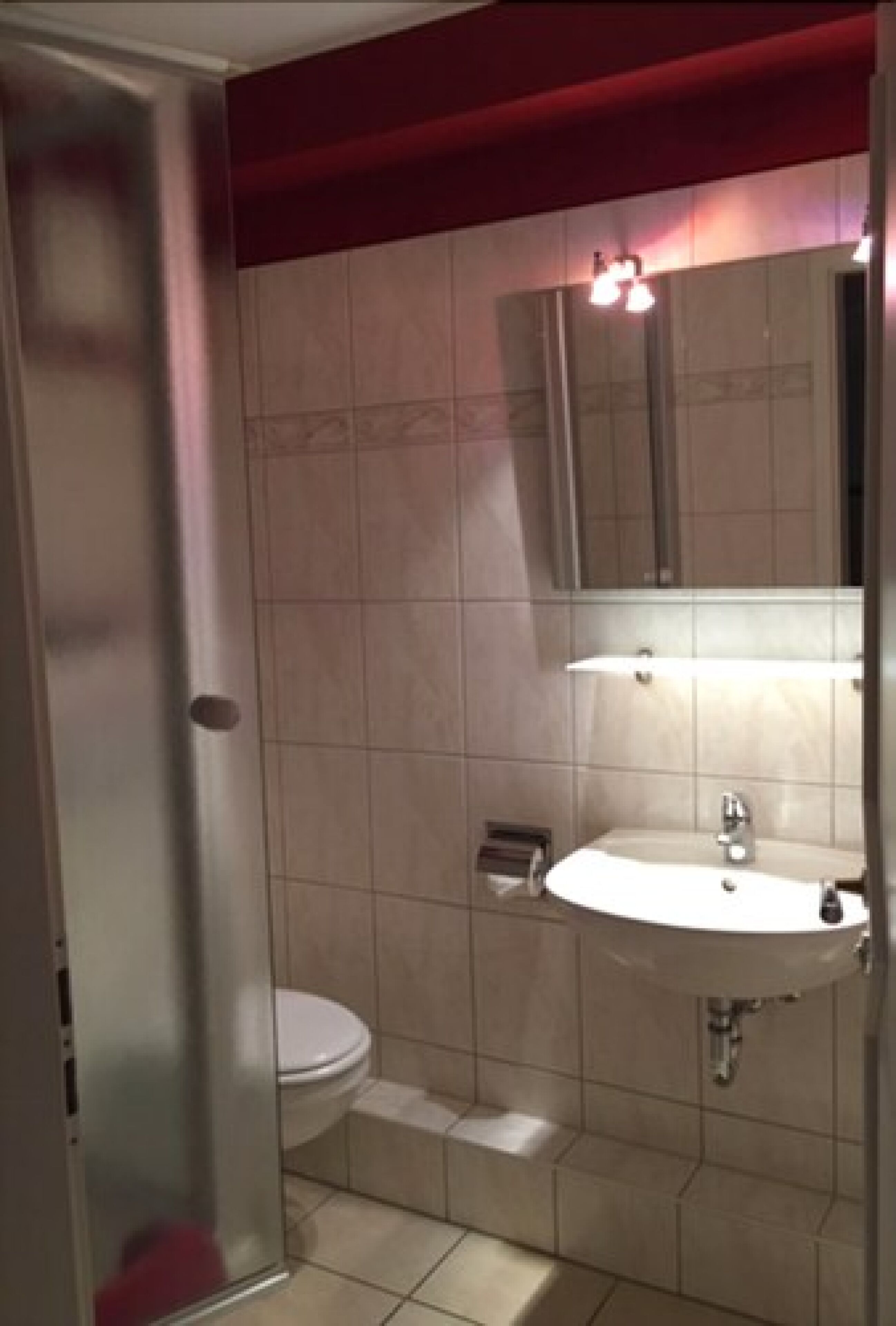 Une salle de bain avec des toilettes, un lavabo et une douche.