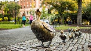 A row of bronze bird sculptures on a cobblestone path in a park. - Remarkable One Bedroom Suite (Boston)