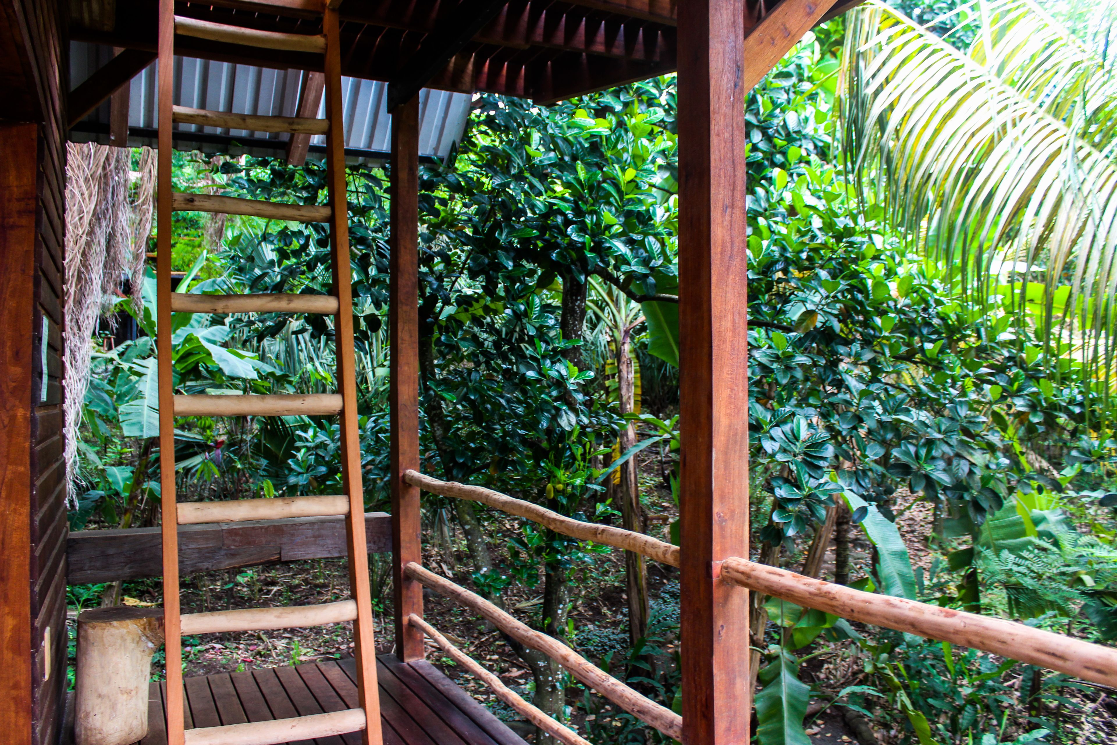 A wooden spiral staircase leading to a covered wooden platform surrounded by lush greenery.