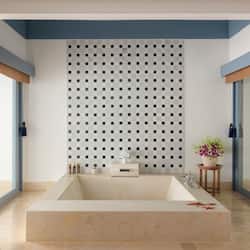 Separate tub and shower, deep soaking tub, rainfall showerhead