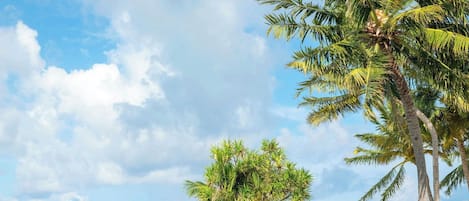 2 outdoor pools, sun loungers