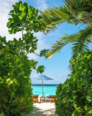 Udsigt fra værelset