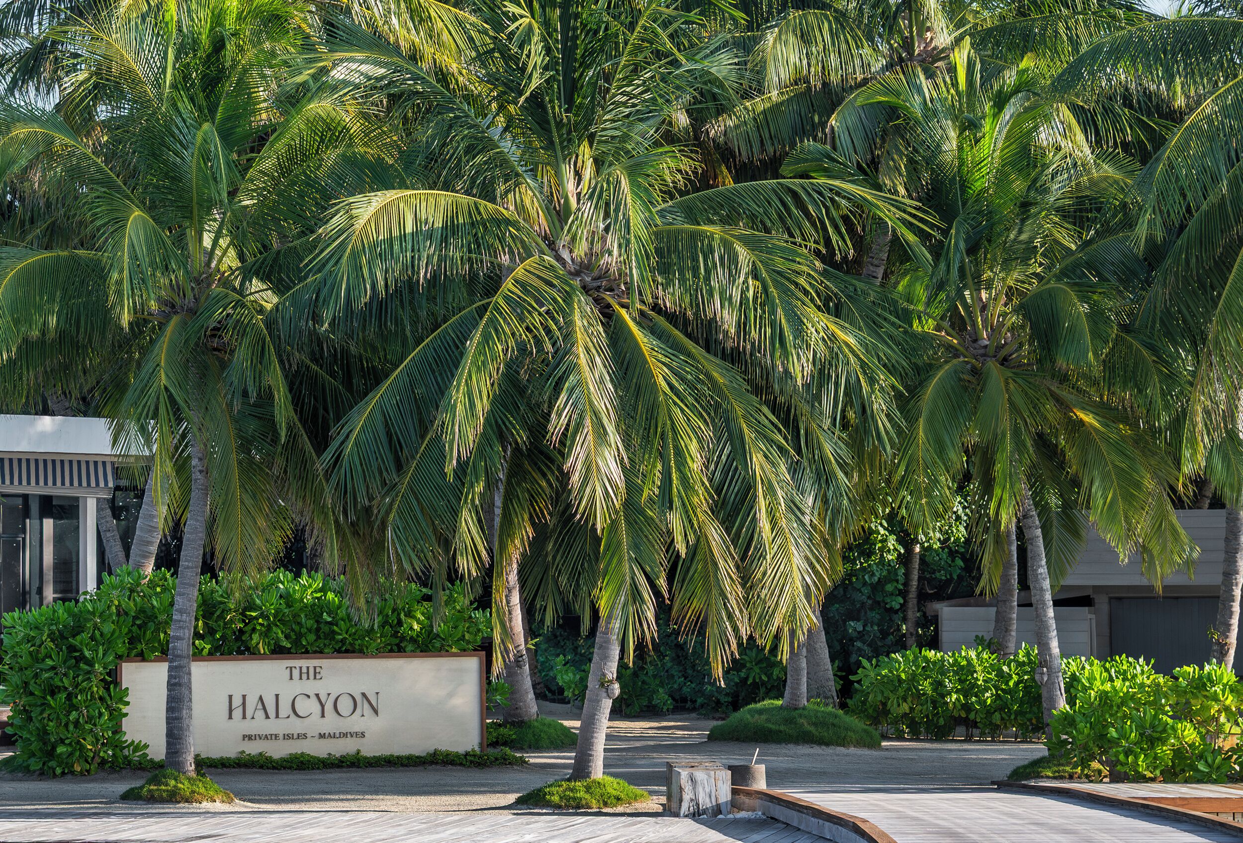 Un letrero que dice 'The Halcyon Private Isles - Maldives', con palmeras y un sendero pavimentado.