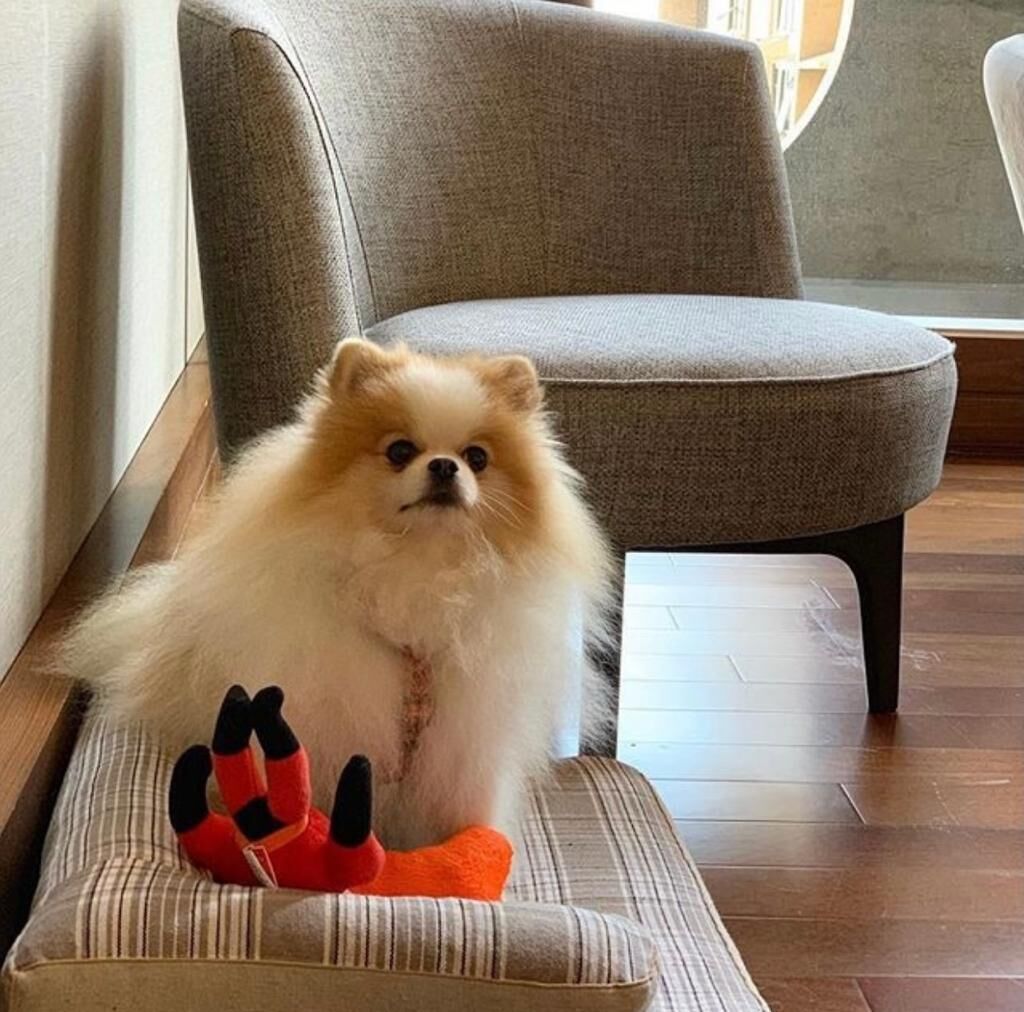 exclusive loft, 1 double bed, non smoking | minibar, in-room safe, desk, blackout curtains