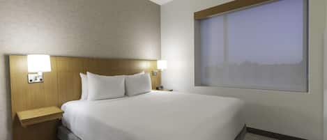 A hotel room with a large bed, two bedside tables with lamps, a window with a view, and a carpeted floor.