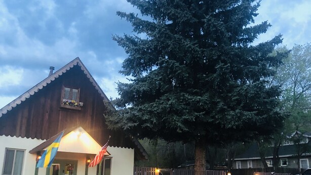 A wooden building with a sign reading "WILLIAMS AZ HOSTEL" and a large evergreen tree in front. - Williams AZ Hostel (Williams)