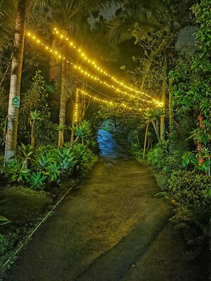 A pathway lined with tropical plants and illuminated by string lights. - Hotel Marrokos (Guarne)
