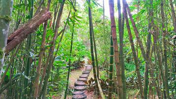Wandern