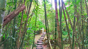 行山