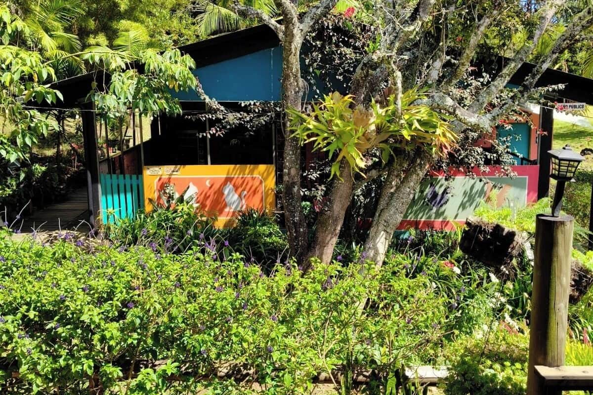 Basic-Doppelzimmer, 1 Doppelbett