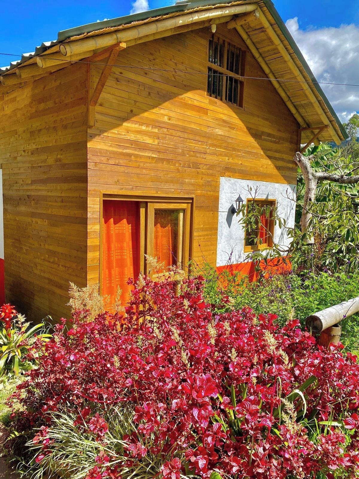 Family Cabin | Premium bedding, down duvets, Select Comfort beds