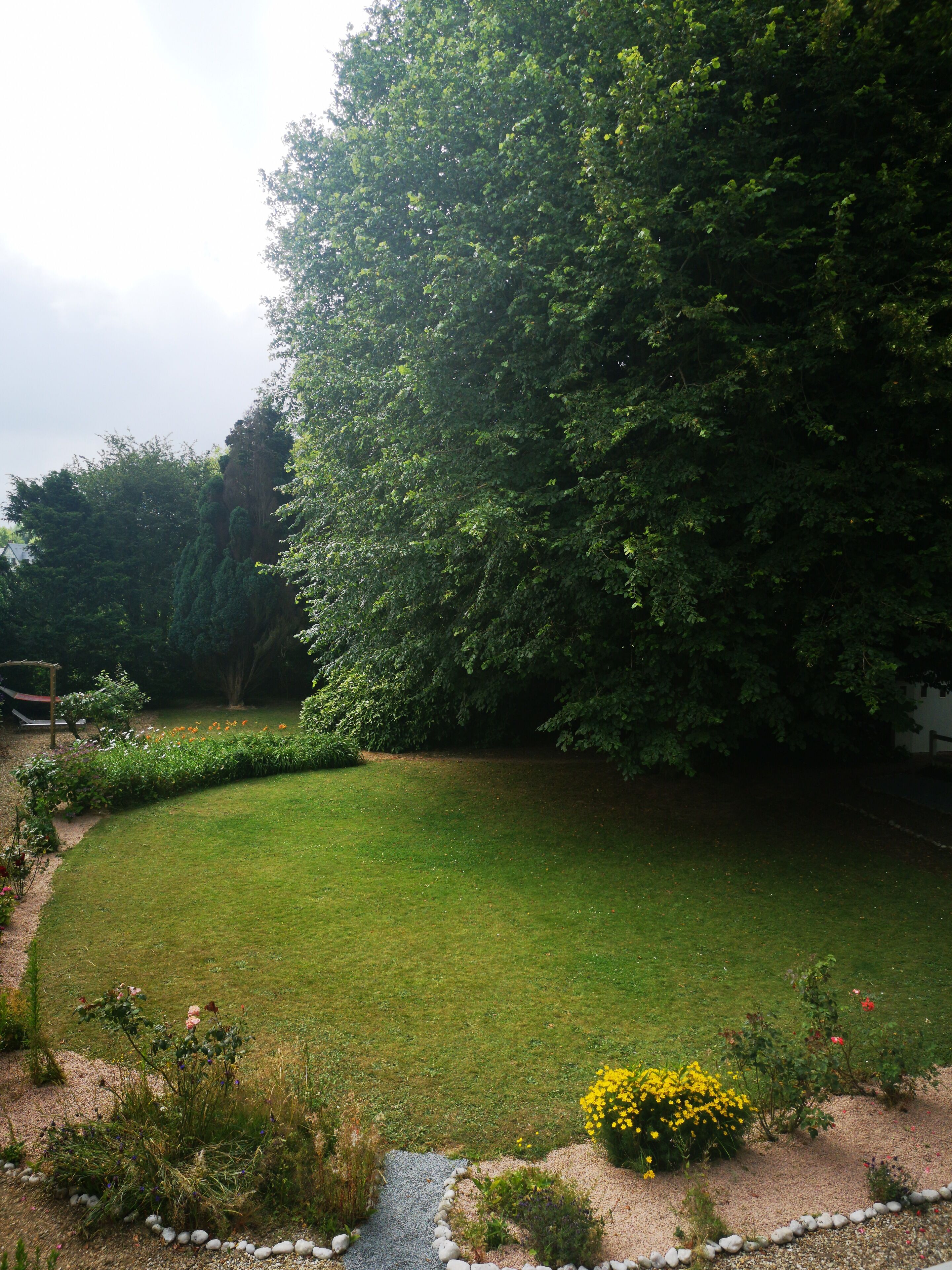 Ein gepflegter Garten mit verschiedenen Pflanzen und Blumen, einer Rasenfläche und einem Kiesweg.