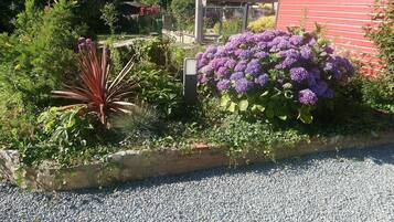 Ein Garten mit verschiedenen Pflanzen und Blumen, einem Kiesweg und einem roten Gebäude im Hintergrund.