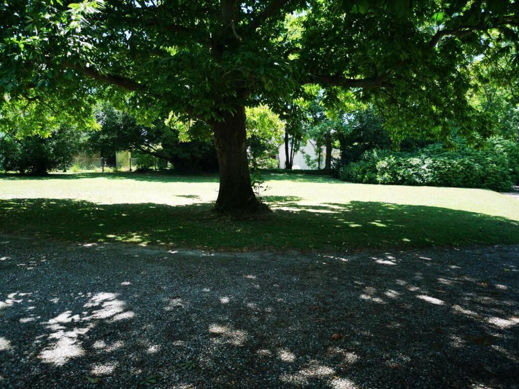 Un parc bordé d’arbres, avec un sentier de gravier.