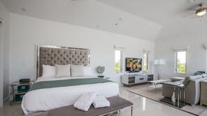 Unclassified image, 4 of 9, button - Kiangazi (Providenciales)