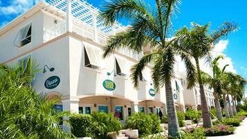 Pemandangan kota dari properti