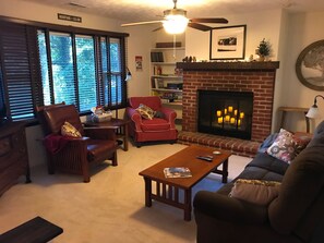 Smart TV, chimenea y libros 