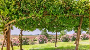 Un jardín con una estructura de pérgola, abundante vegetación y arbustos florecientes.