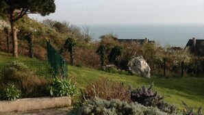 A coastal landscape with a grassy area, a large rock, and a tree.
