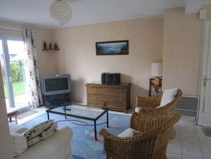 Televisión, reproductor de DVD y libros