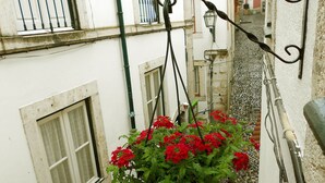 Un estrecho pasillo exterior con una maceta colgante con flores rojas.