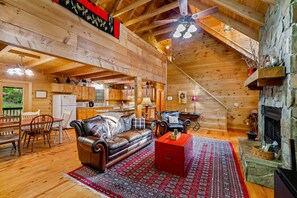 Smart TV, fireplace, DVD player, books
