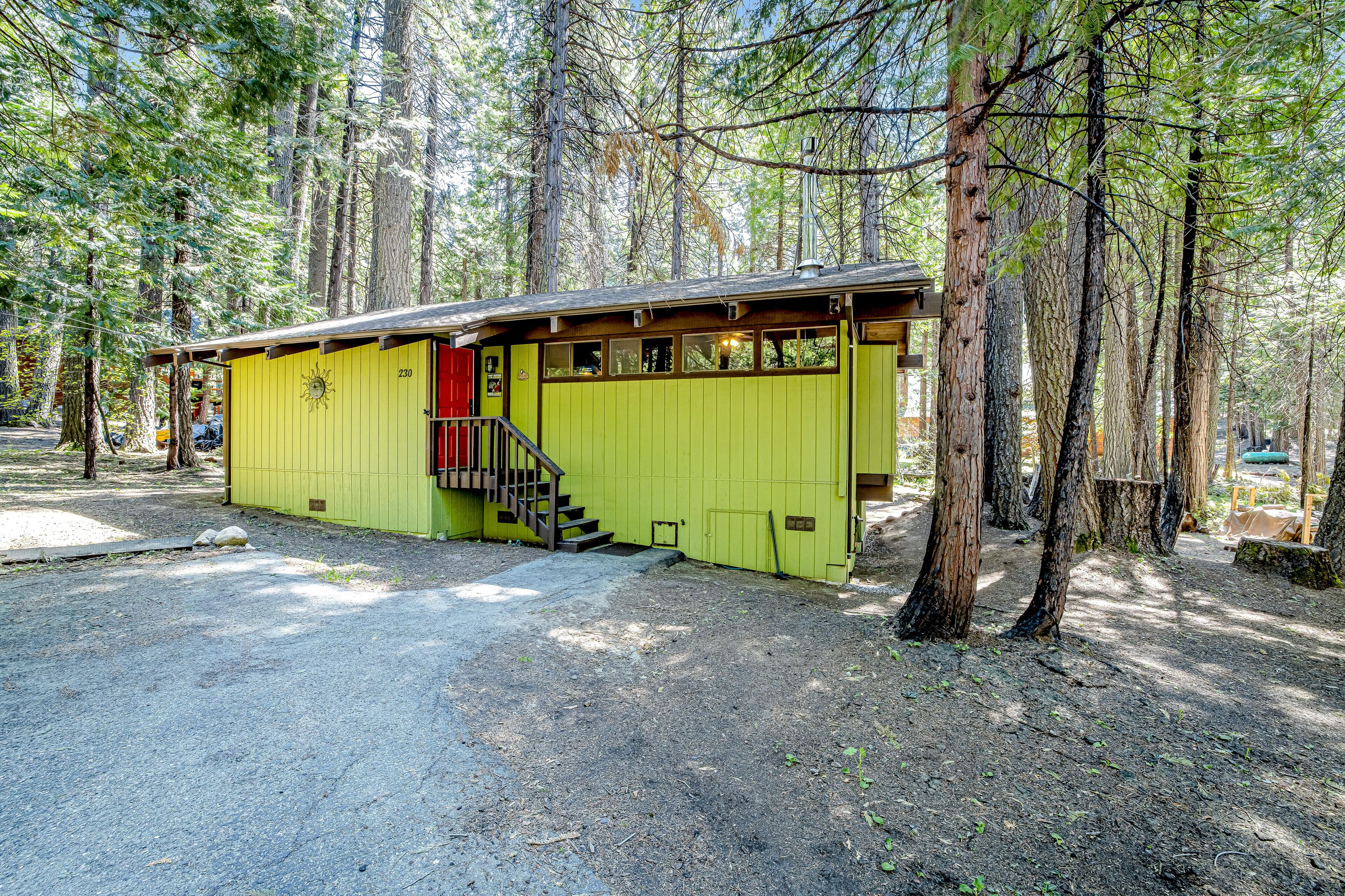 Secluded cabin with forest views and firepit - dog-friendly