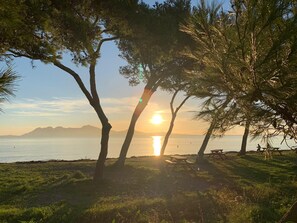 A beach scene with trees, a sunset, and a calm sea. - Puerto De Pollensa: Luxury Apartment on the beach (Pollença)