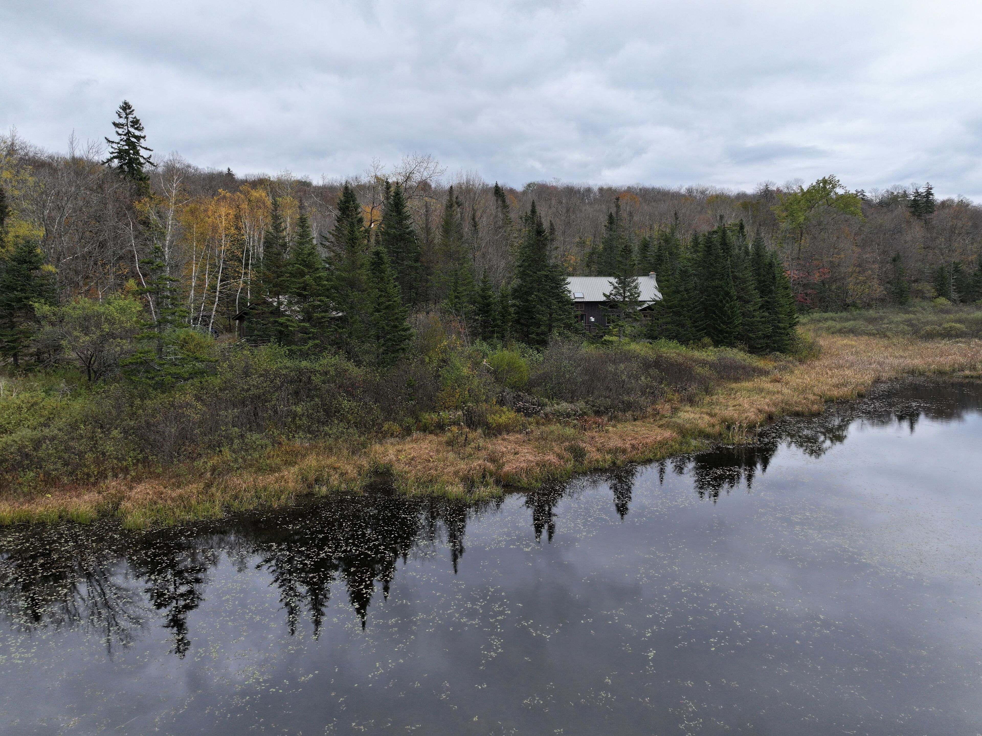 A cabin surrounded by dense forest and a calm body of water reflecting the trees.
