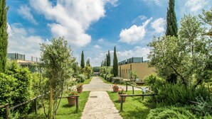 A stone pathway leading to a building with a yellow facade, surrounded by greenery and tall trees.