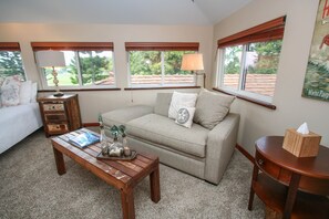 Smart TV, DVD player, books, video library