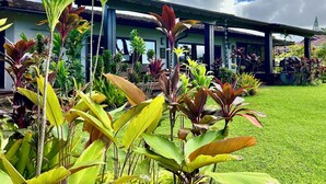 Un espace extérieur abrité, agrémenté de diverses plantes tropicales, et en arrière-plan, un bâtiment doté d’un toit en tuiles.