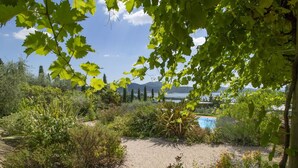 A garden with a gravel path, various plants, and a pool in the background.