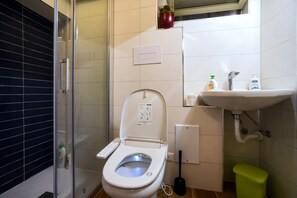 Shower, hair dryer, bidet, towels