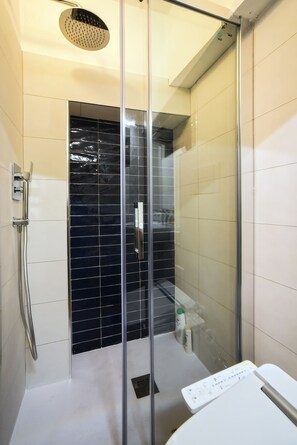 Regadera, secadora de cabello, bidet, toallas