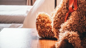 Un oso de peluche suave con un lazo rojo sobre una superficie de madera, una lámpara y una cama con vista al exterior.