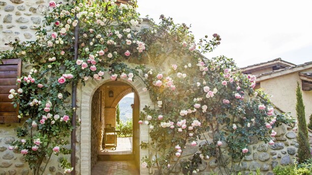 A stone building with a rustic archway covered in blooming pink and white roses. - Cosy apartment for 6 guests with pool, WIFI, TV, patio, pets allowed and panoramic view (Allerona)