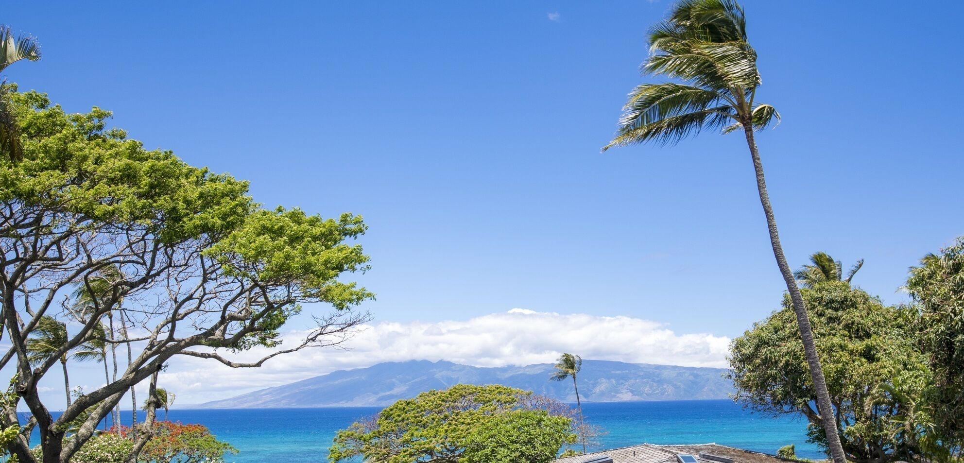 A coastal landscape with a clear sky, a view of the ocean, and a mountain range in the distance.