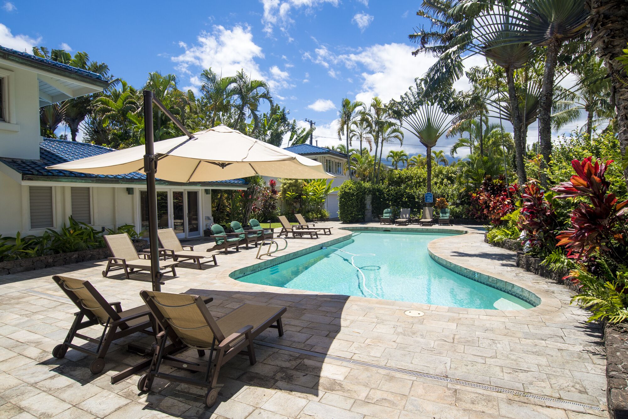 A swimming pool with lounge chairs and umbrellas, surrounded by palm trees and tropical plants.