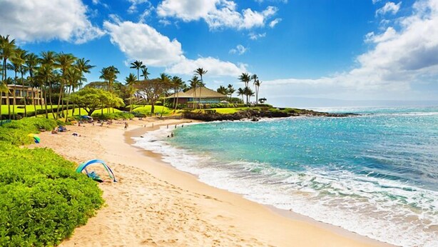 A beach with clear turquoise waters, palm trees, and a building with a thatched roof.
