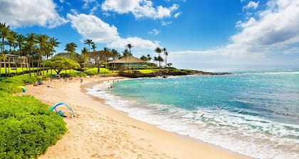 Spectacular Ocean View. Close to Beaches & Shopping Plaza. Large Pool & Spa