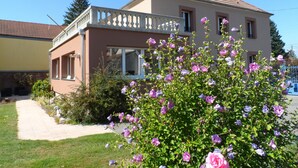 Unclassified image, 5 of 45, button - Maison Curiale (Montreux-Chateau)