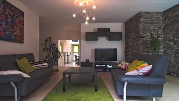 Télévision, cheminée, lecteur de DVD, médiathÚque