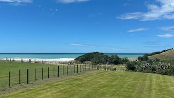 Een begraasd veld met een hek, een strand en een helderblauwe lucht.