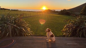 A dog sitting on a wooden deck overlooking a grassy field with a sunset in the background. - 'Time Out'  Beach Front getaway with amazing sea views (Whangaehu Beach)