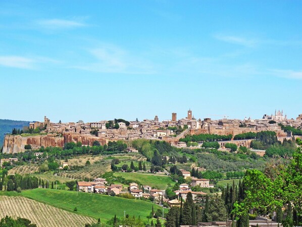 A panoramic view of a historic town with medieval architecture, terraced fields, and a prominent church tower.