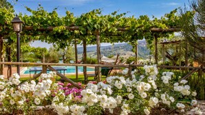 A garden with a pergola, white and pink roses, and a pool with lounge chairs. - Cosy apartment for 6 people with WIFI, pool, TV, patio, pets allowed and panoramic view (Allerona)